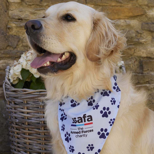 SSAFA Dog Bandana S/M