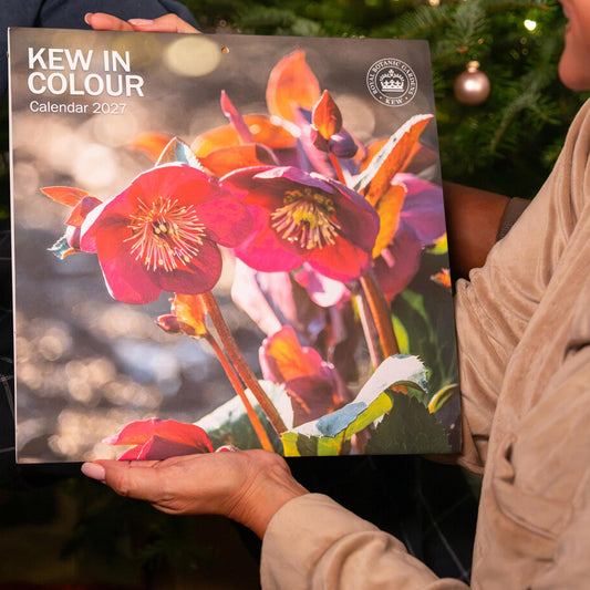 Person holding the Kew in Colour Calendar 2027, with pink flowers on the cover, white title text and a circular Kew logo.