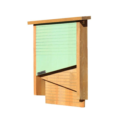 Wooden bat box with a green front panel on a white background