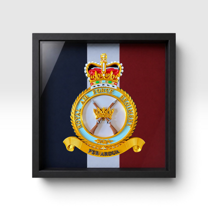 A framed military crest of the RAF Regiment (Queen's Crown) insignia, displayed against a professionally pigment-printed RAF Regiment backing, in a black shadowbox frame.