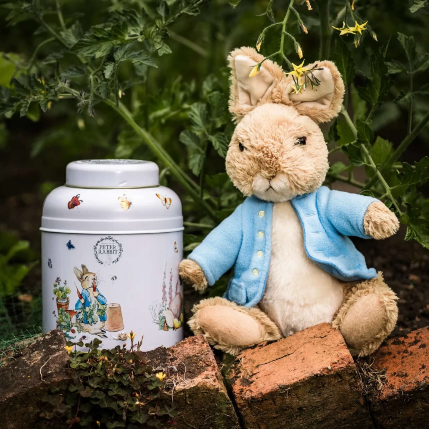 A plush Peter Rabbit sits beside a white decorative canister with illustrated bunny artwork, placed outdoors on brick steps with green garden foliage in the background.