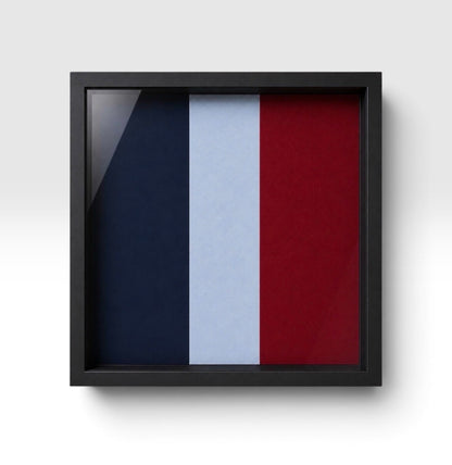 A black white frame, showing the professionally pigment-printed RAF Regiment backing.