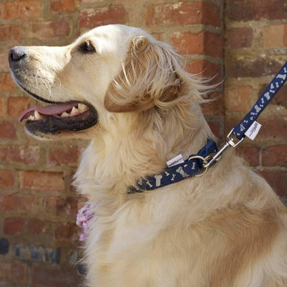SSAFA Dog Collar Small 20-30cm