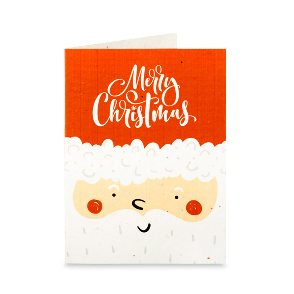 Down the Chimney Christmas Cards