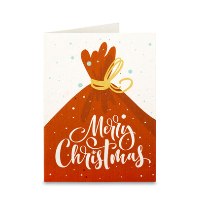 Down the Chimney Christmas Cards