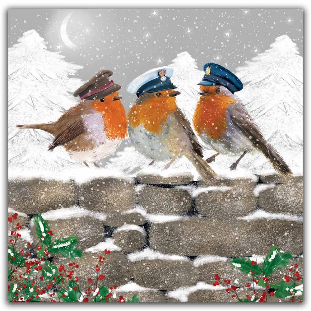 Snowy Military Robins Christmas Cards