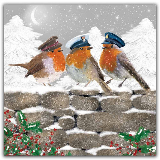 Snowy Military Robins Christmas Cards