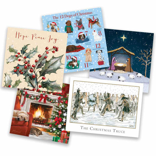 Christmas Card Bargain Pack B (50 cards)