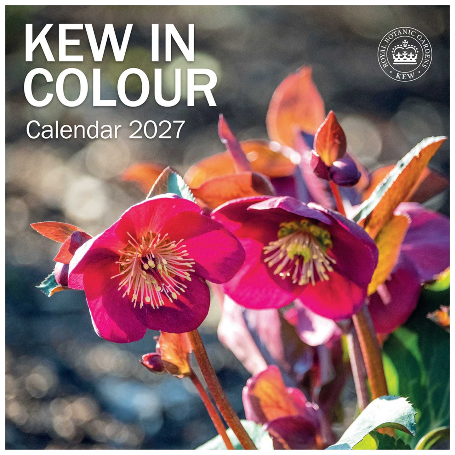 Square cover for the Kew in Colour Calendar 2027, featuring a close-up photograph of bright magenta hollyhocks with reddish-brown leaves against a blurred natural background. Large white text reads 'KEW IN COLOUR' and 'Calendar 2027', with a circular Kew logo in the top right corner.