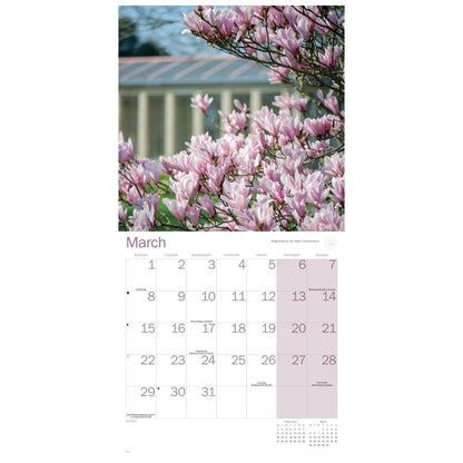 A single-page monthly calendar spread showing a large photograph of pink blossoms at the top and a March calendar grid below on a white page.