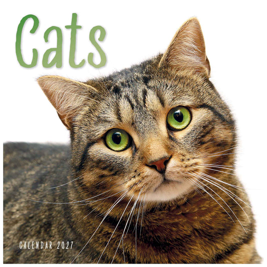 A square cover-style image featuring a close-up photograph of a tabby cat with green eyes on a white background, with the word "Cats" in large green letters at the top and small text reading "CALENDAR 2027" at the bottom left.