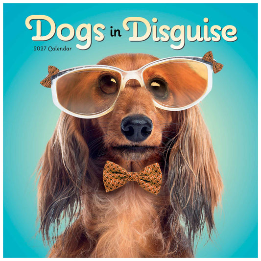 Square cover art for the 2027 'Dogs in Disguise' calendar, featuring a long-haired brown dog wearing oversized novelty sunglasses and a patterned bow tie against a turquoise background.