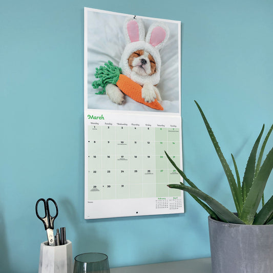 A wall-mounted calendar page showing a puppy dressed in bunny ears and holding a carrot, with the calendar grid visible below the photo. The calendar is displayed on a light blue wall above a tabletop with a potted aloe plant, scissors, and a glass.