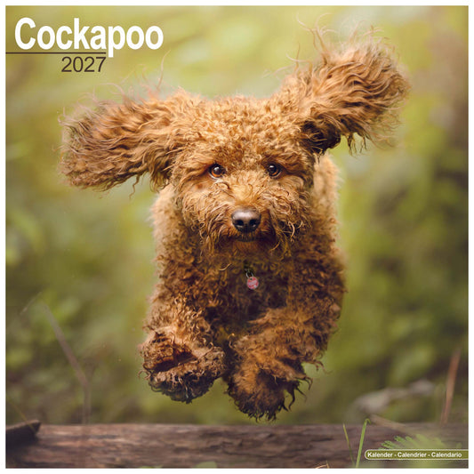 A square wall calendar cover featuring a fluffy brown cockapoo dog jumping outdoors on a wooden fence, with the title 'Cockapoo 2027' at the top and 'Calendar - Calendario' in the bottom right corner.